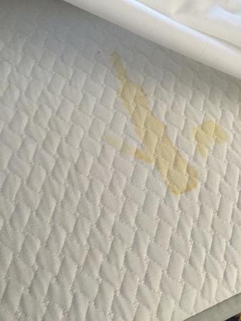 Stained Mattress